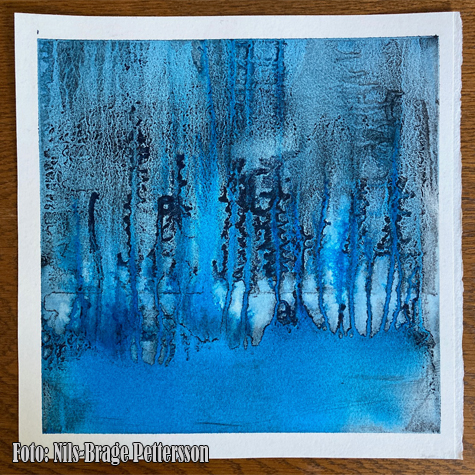 © Nils-Brage Pettersson.