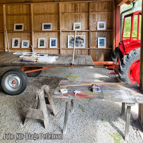 © Nils-Brage Pettersson.