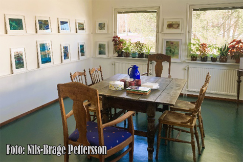 © Nils-Brage Pettersson